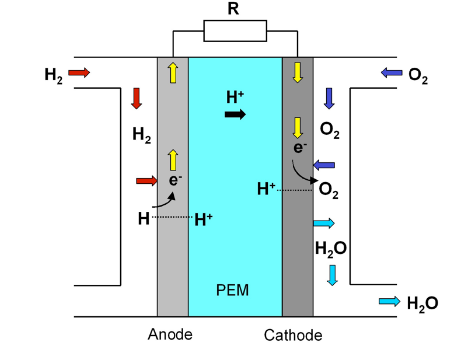 Illustration of the working principle of a proton exchange membrane (PEM) fuel cell
